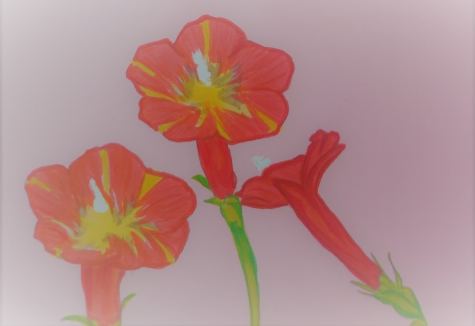 KakaoTalk_20220117_131432495_11 (2).jpg