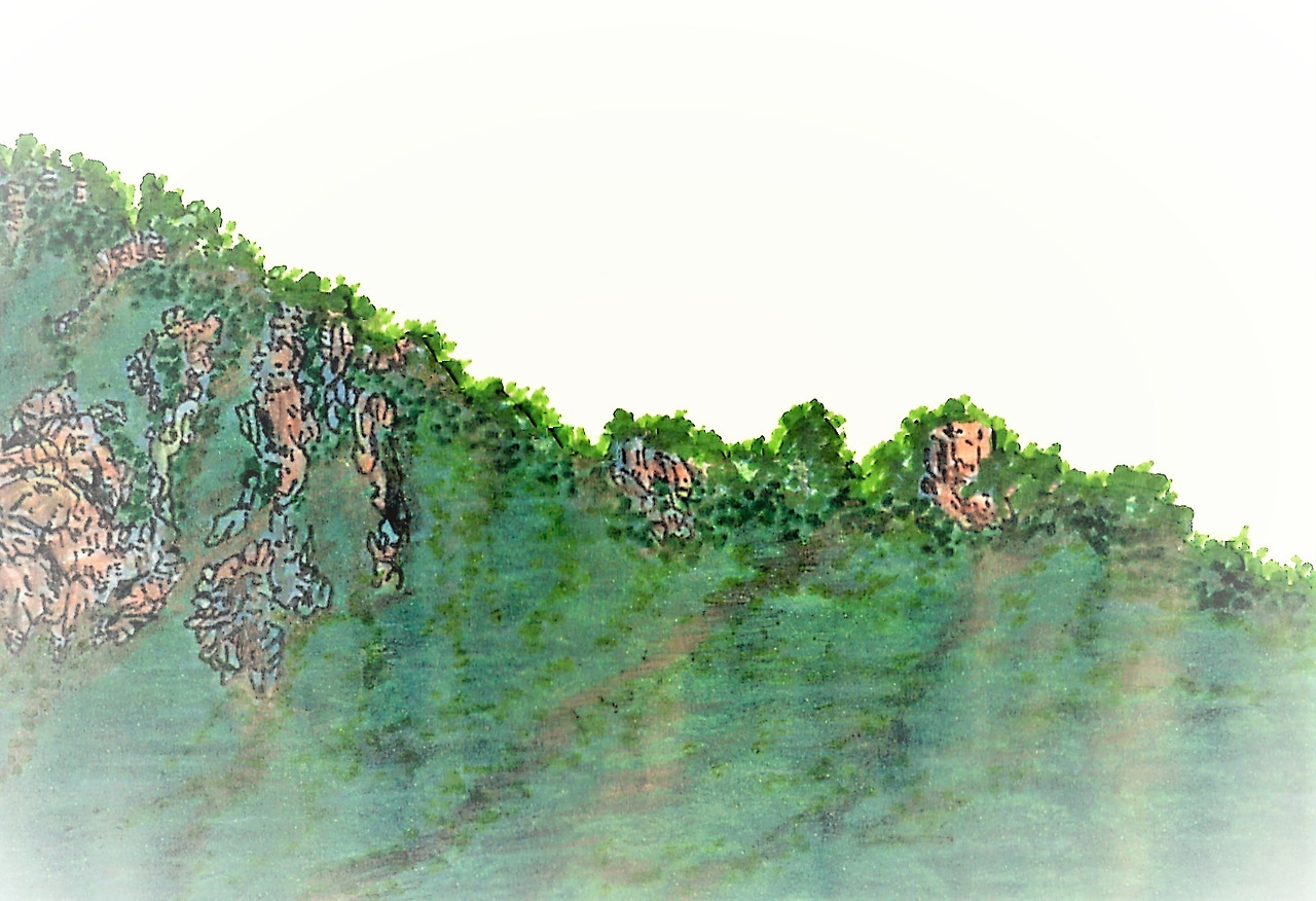 48. 도마치봉을 오르면서 본 지능선에 여름이 무겁게 내려앉았다.jpg