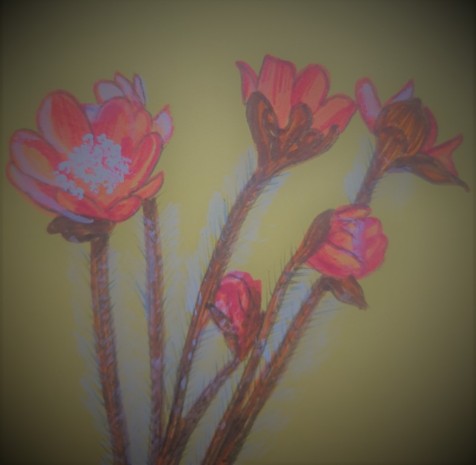 KakaoTalk_20220117_131432495_03 (2).jpg