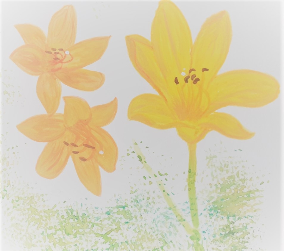 KakaoTalk_20220117_132124822_04 (2).jpg