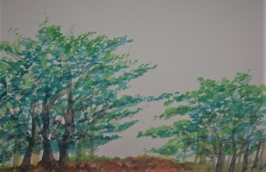 KakaoTalk_20220117_131829337 (2).jpg