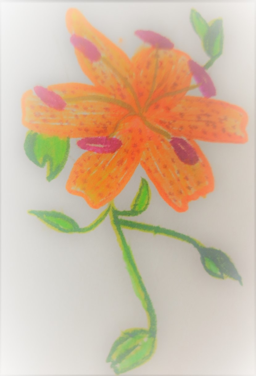 KakaoTalk_20220117_131432495_19 (2).jpg