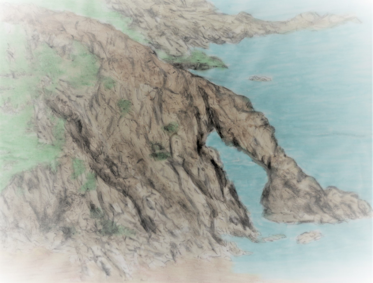 76. 코끼리가 연신 짠 바닷물을 들이키고 있다.jpg