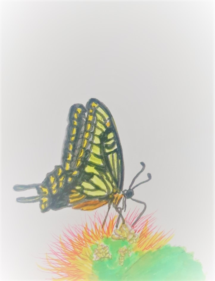 KakaoTalk_20220117_132124822_12 (2).jpg