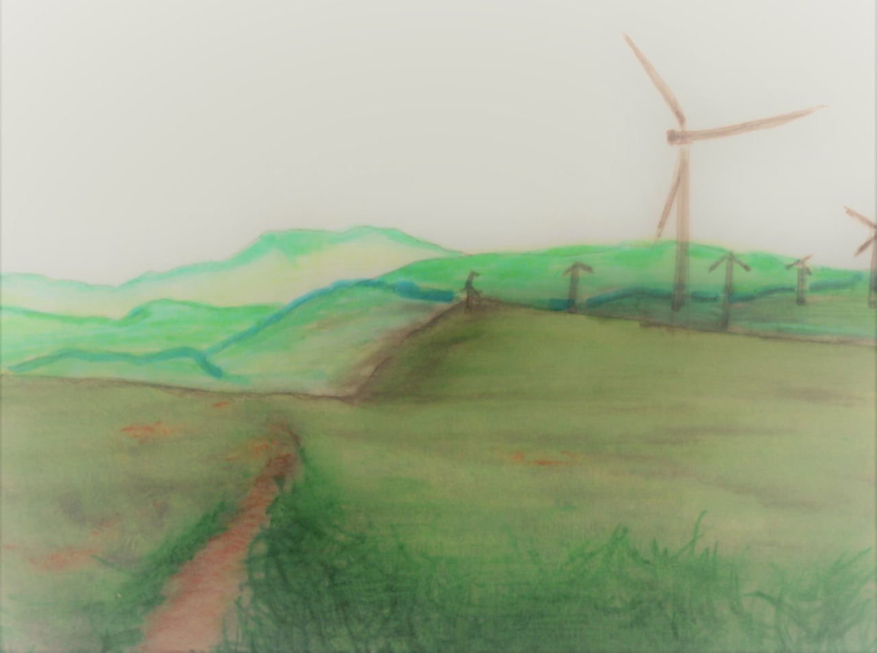 선자령,대관령옛길-정상 초목지대.jpg