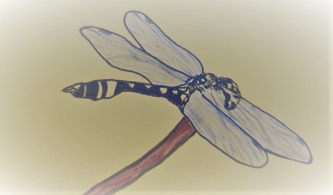 KakaoTalk_20220117_131432495_04 (2).jpg