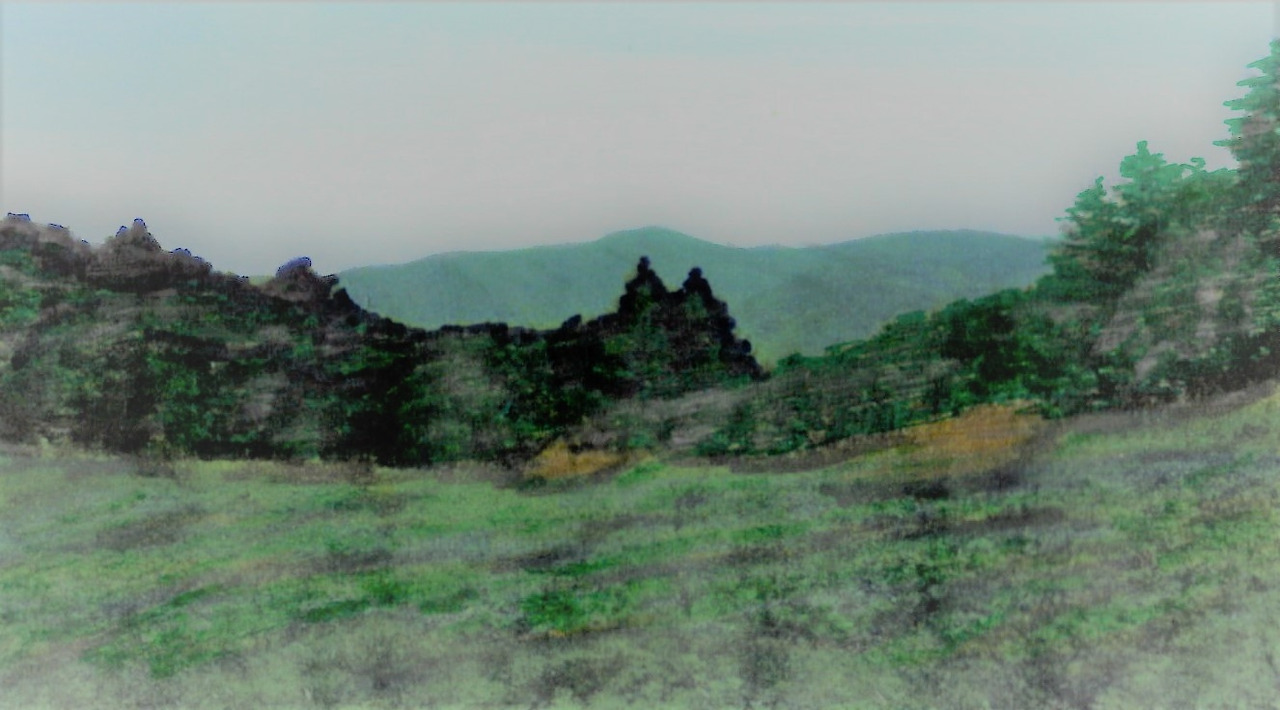 금대봉,대덕산-대덕산 초원지대에서 보이는 금대봉 정상.jpg