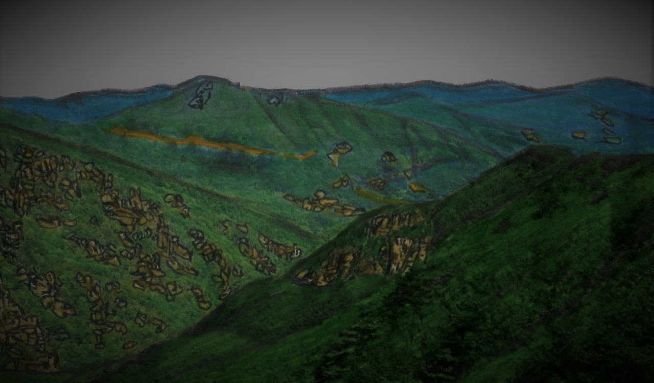 44. 어비산에서 가게 될 선어치고개와 중미산, 삼태봉을 바라본다.jpg