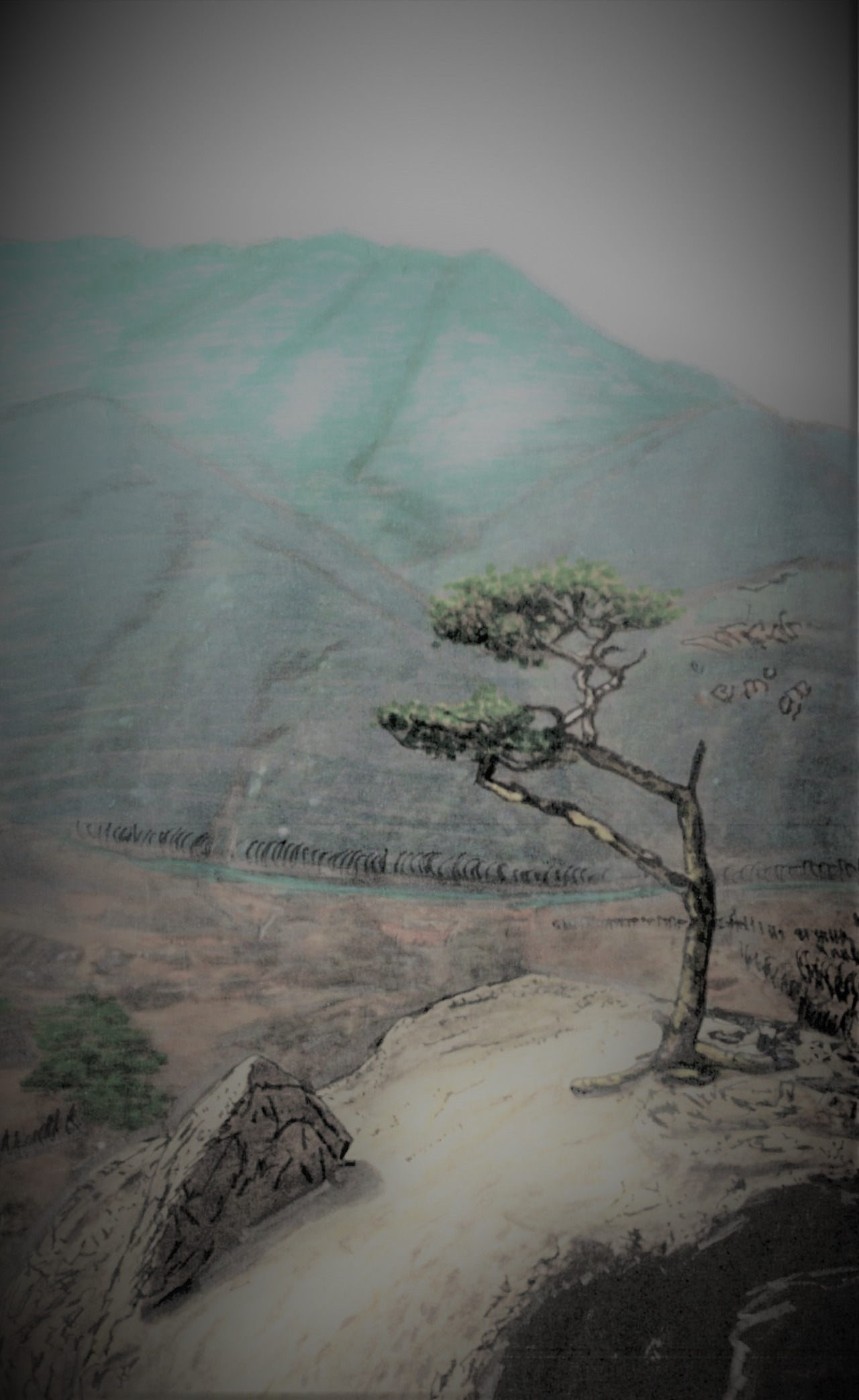 60. 산정부근 전망 좋은 바위에 소나무가 뿌리를 내렸다.jpg