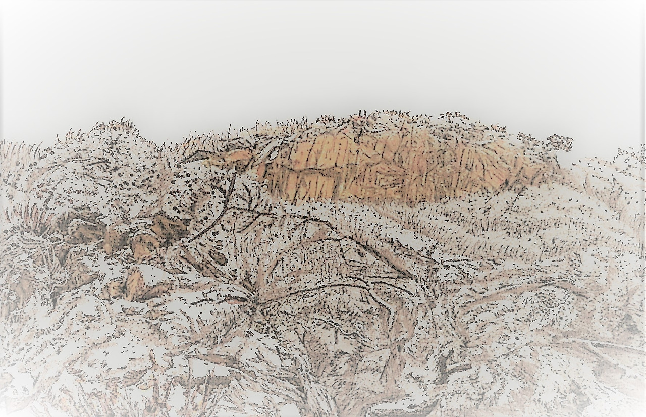 40. 오름길에 본 임꺽정봉도 하얗게 덮였다.jpg