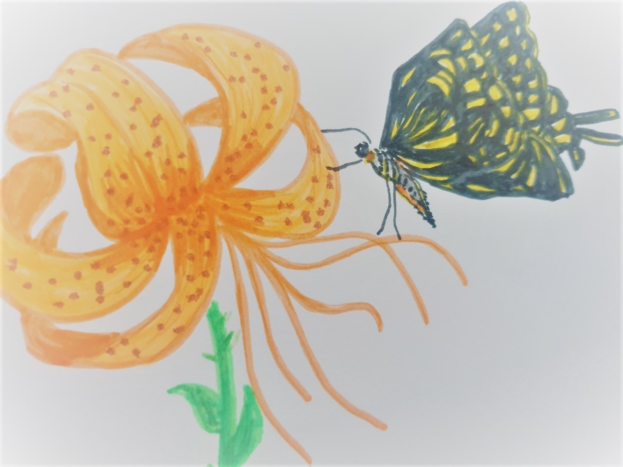 KakaoTalk_20220117_132124822_16 (2).jpg