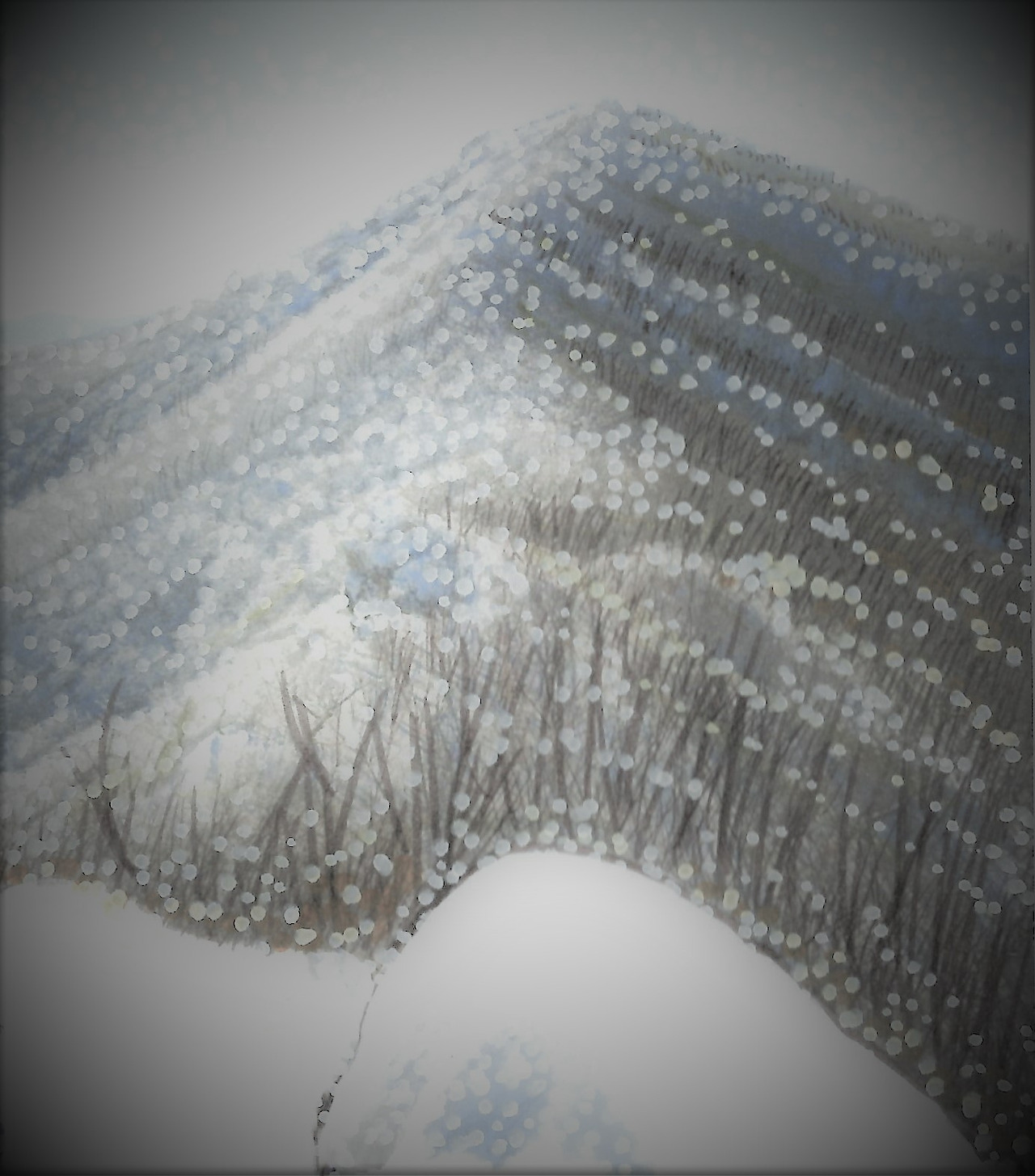 29. 황학산에서 백화산으로 이어지는 능선도 온통 설원이다.jpg