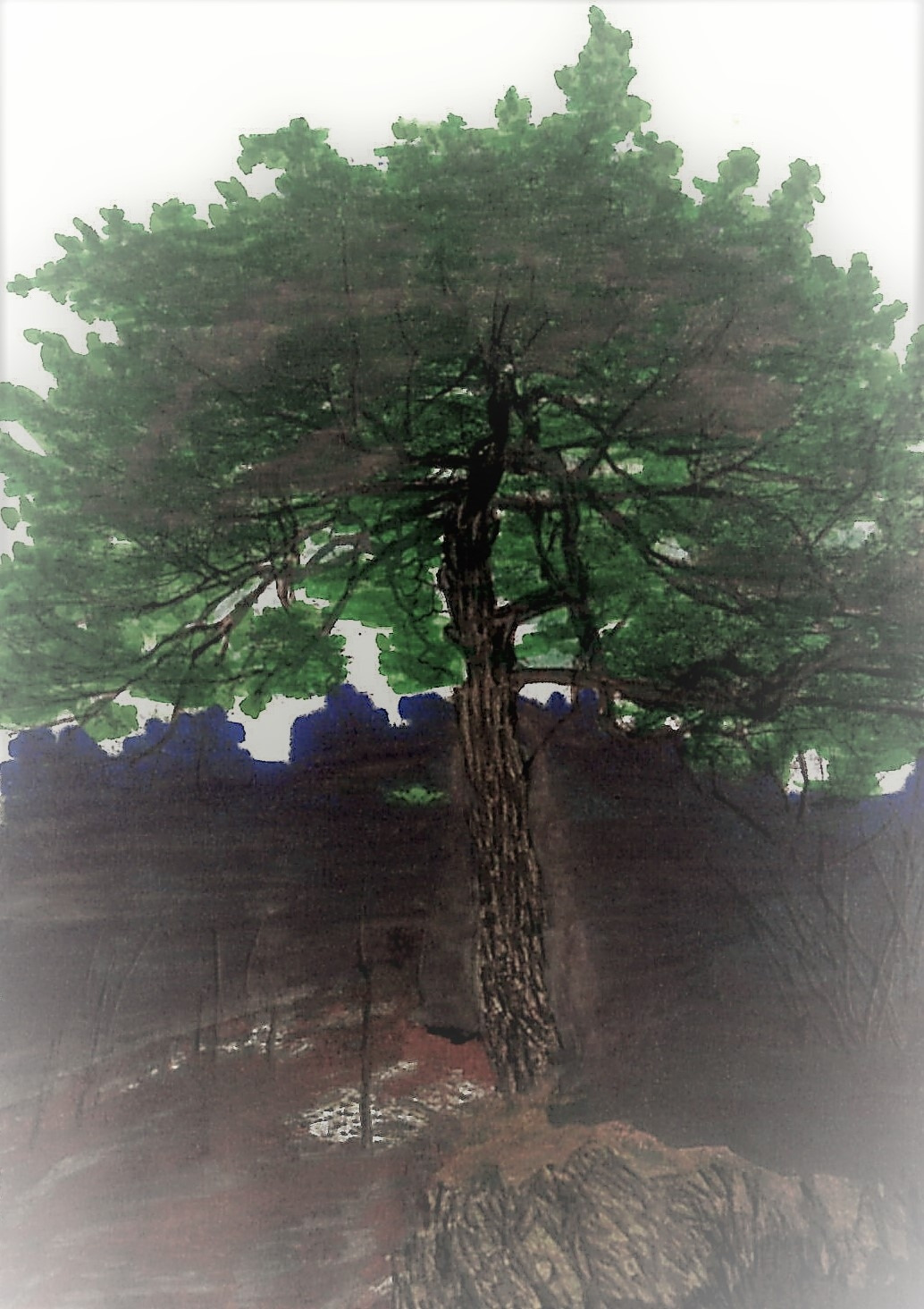 63. 왕소나무가 있는 화악2리가 화악산의 들머리이다.jpg