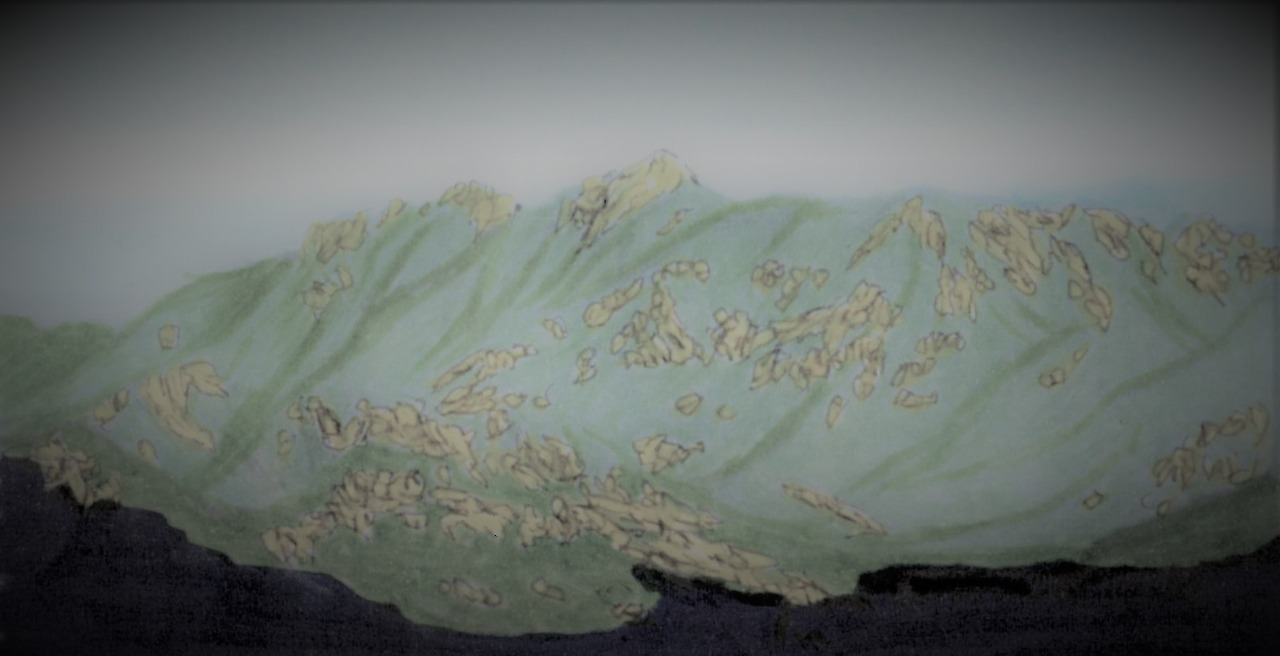 48. 신선봉에 올라서서 월악산 마루금에 시선을 머문다.jpg