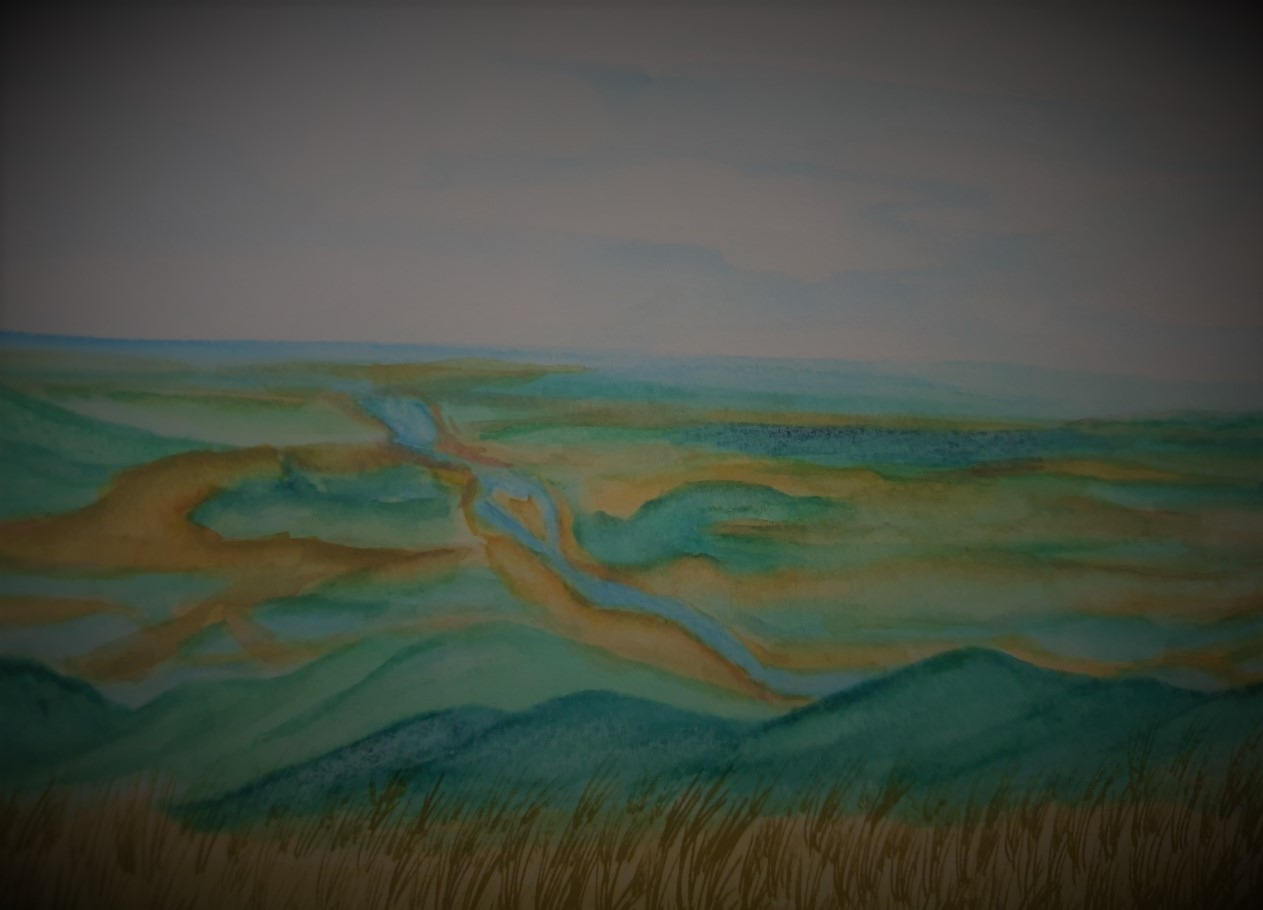 오서산 능선에서 바라본 보령 앞바다.jpg