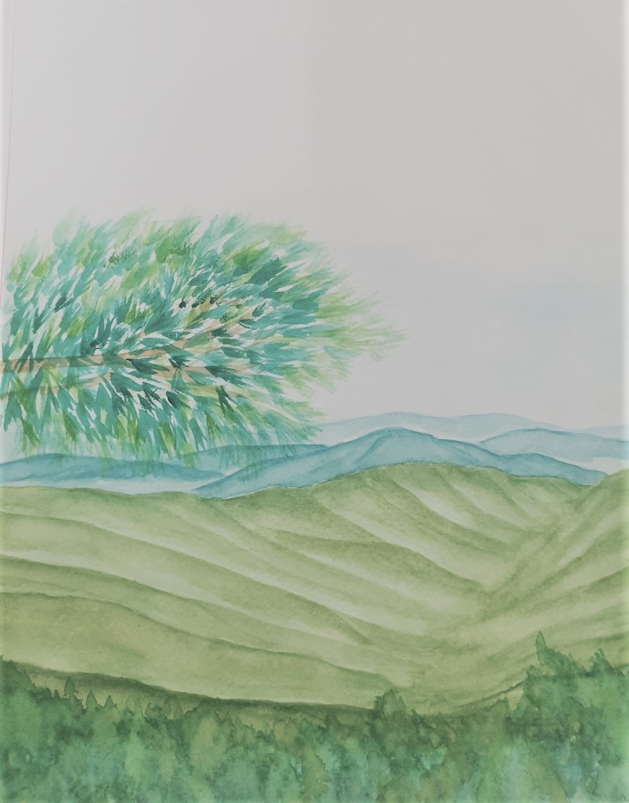 칠갑산에서의 조망.jpg