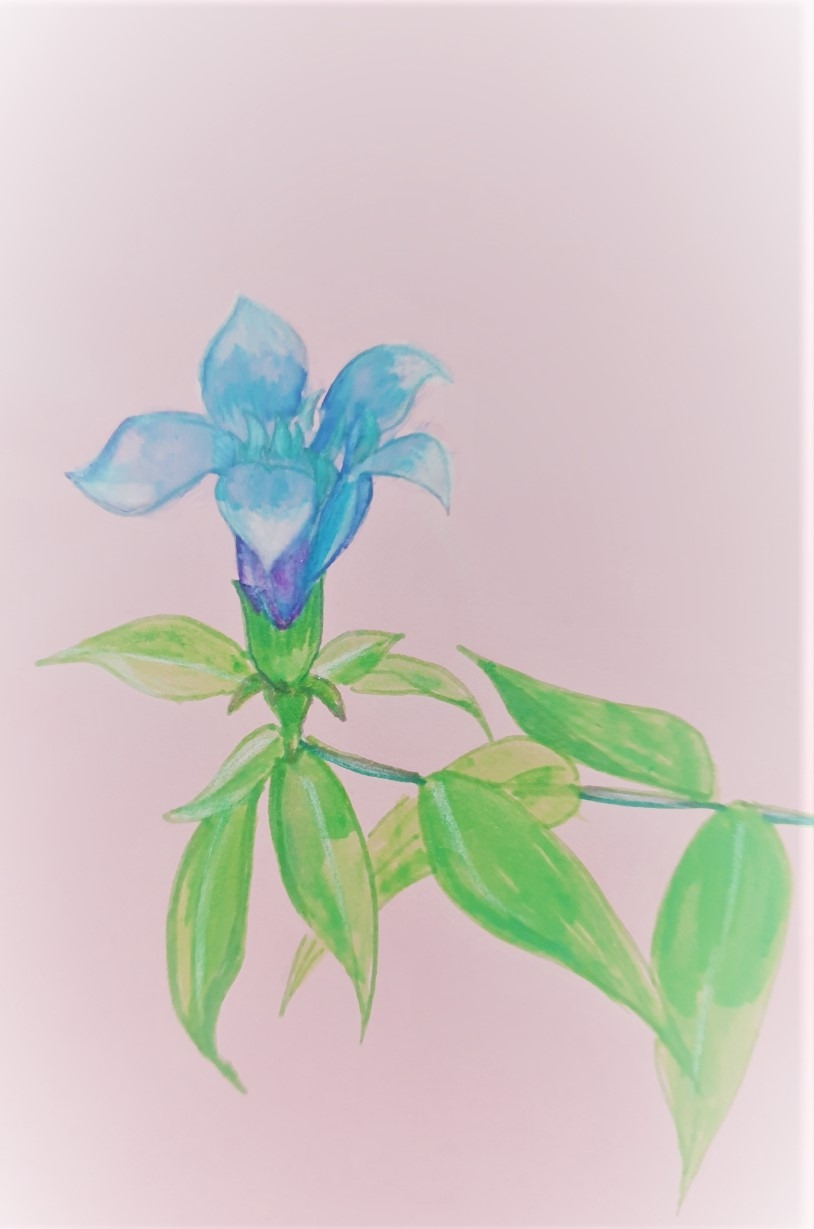 KakaoTalk_20220117_132003925_01 (2).jpg