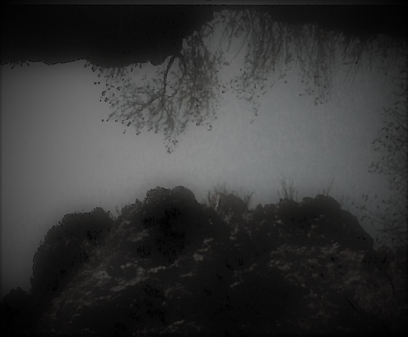 59. 암릉 바위 틈으로 많은 식물들이 자생하고 있다.jpg