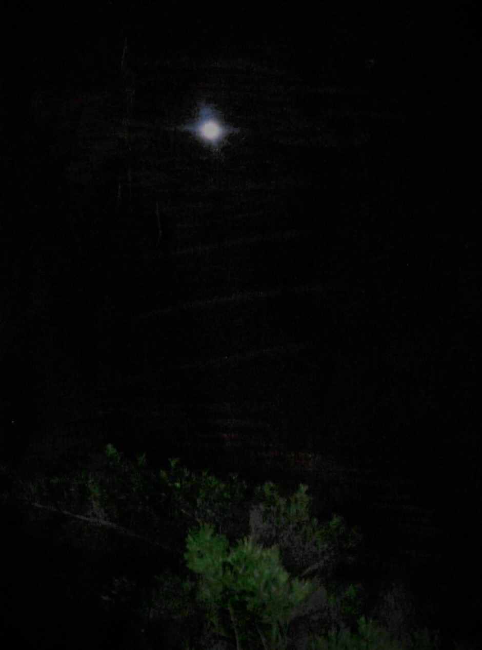 61. 밤길 적막한 고독은 끈끈한 동반보다 더 푸근할 때가 있다.jpg