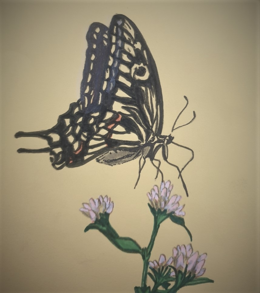 KakaoTalk_20220117_131432495_09 (2).jpg