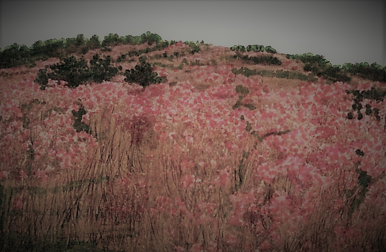45. 진달래군락을 거쳐 화왕산 정상에 이른다.jpg