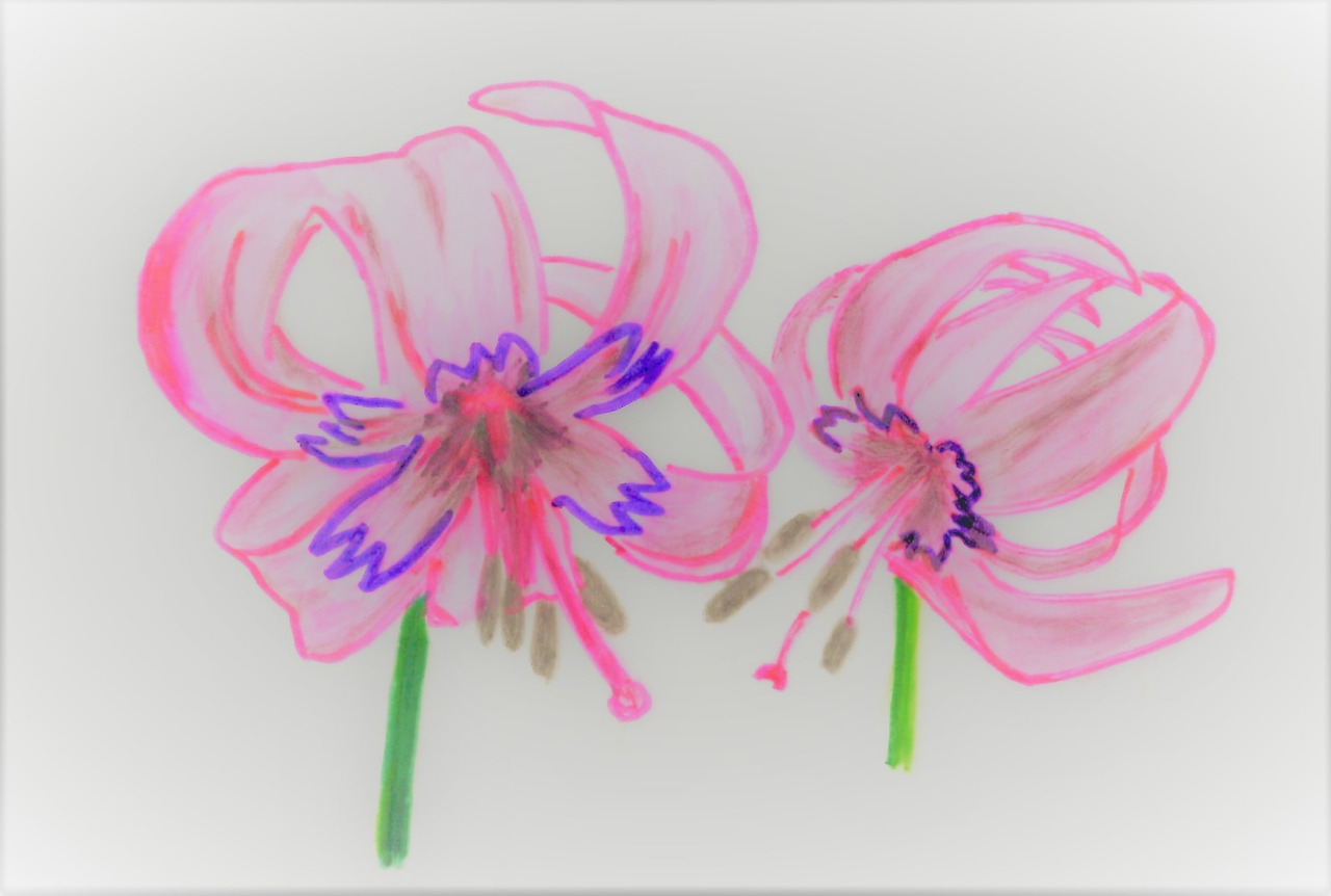 64. 월곡재로 가다가 바람난 여인을 만난다.jpg