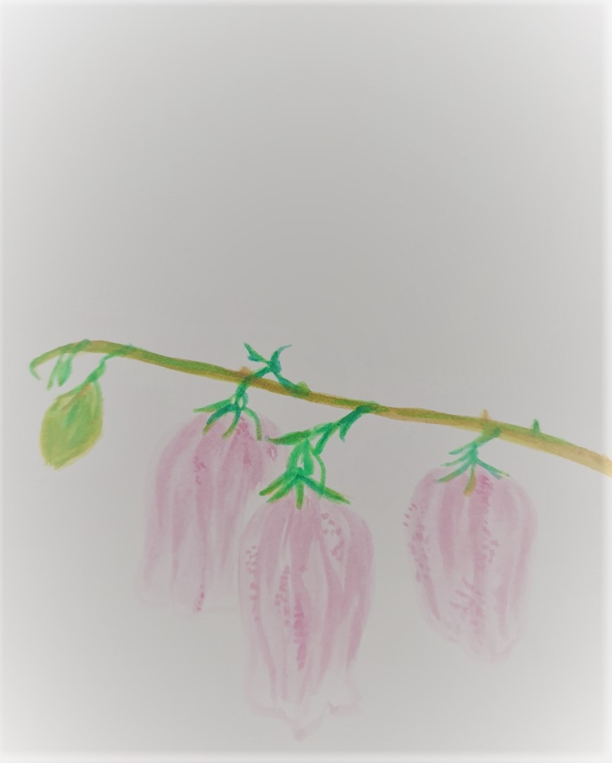 KakaoTalk_20220117_132124822_22 (2).jpg