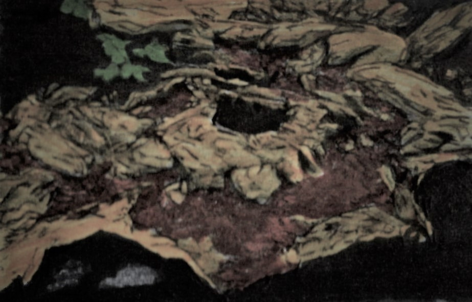 71. 볼수록 경이로운 풍혈이다.jpg