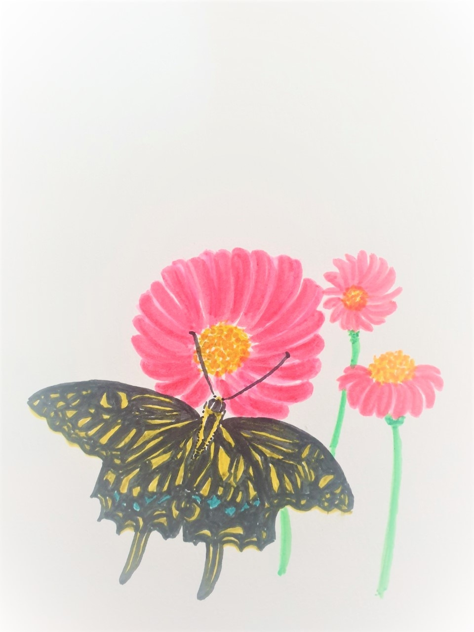 KakaoTalk_20220117_132124822 (2).jpg