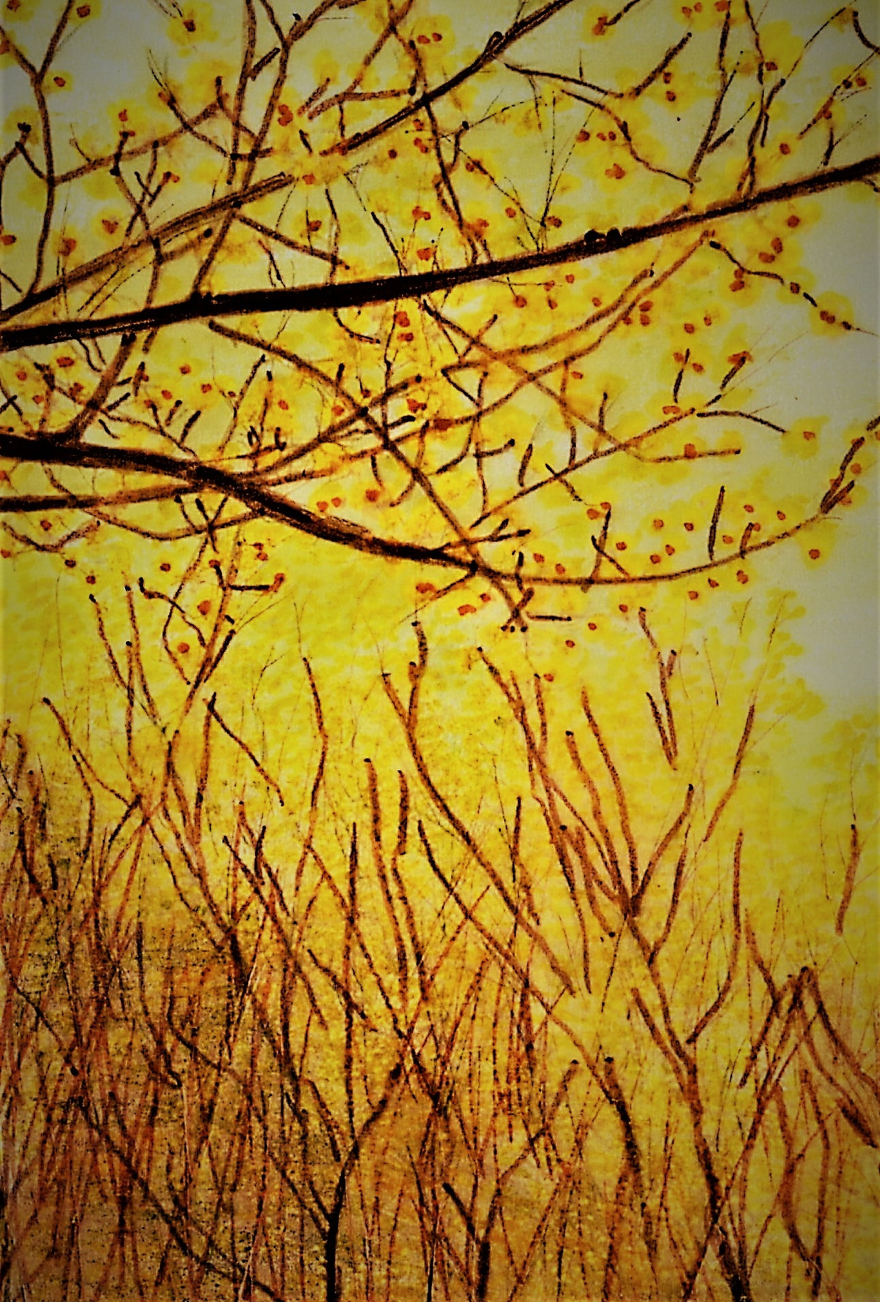 67. 산수유군락은 그야말로 황금정원이다.jpg