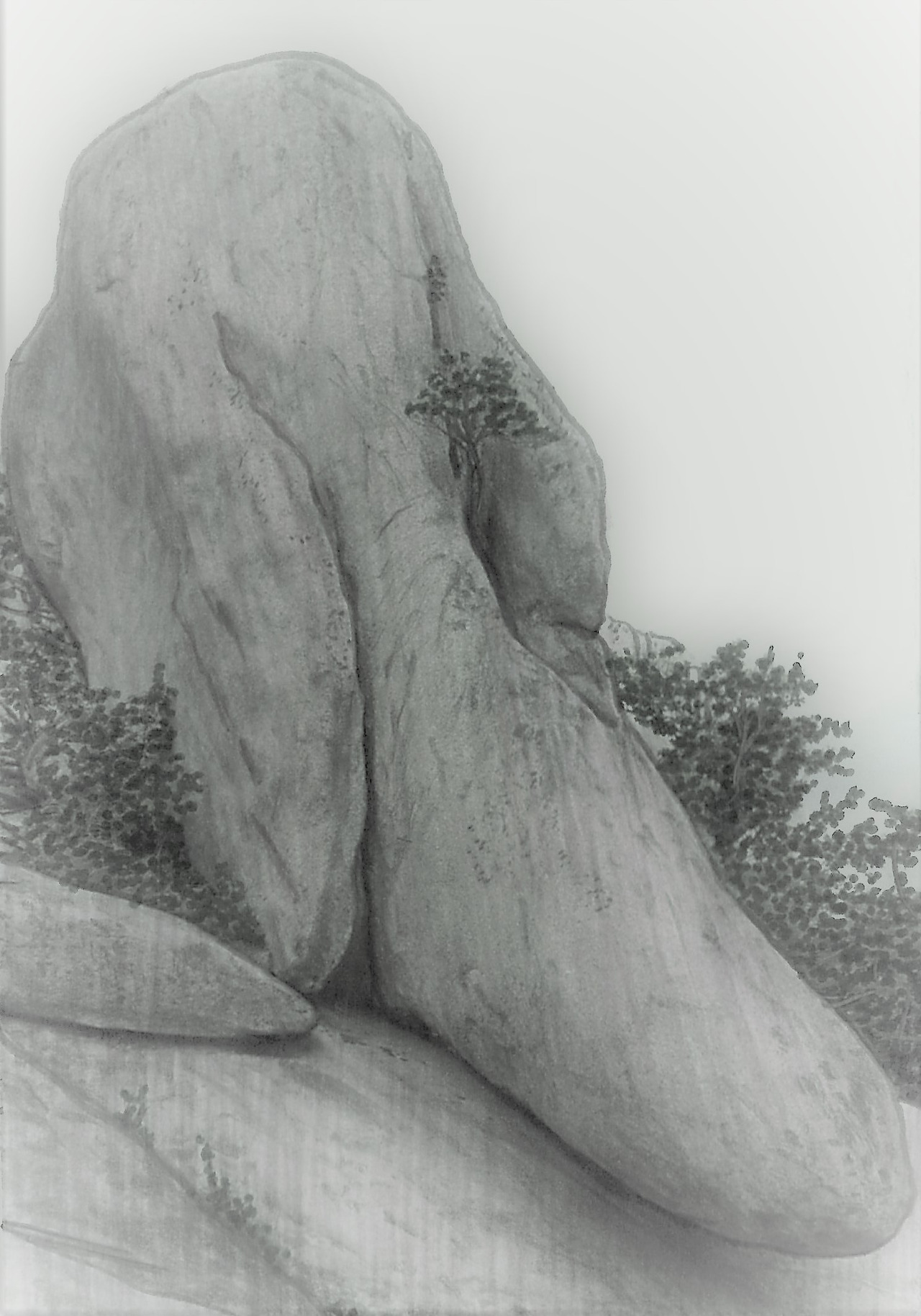 11. 코끼리바위는 제법 코끼리를 닮았다.jpg