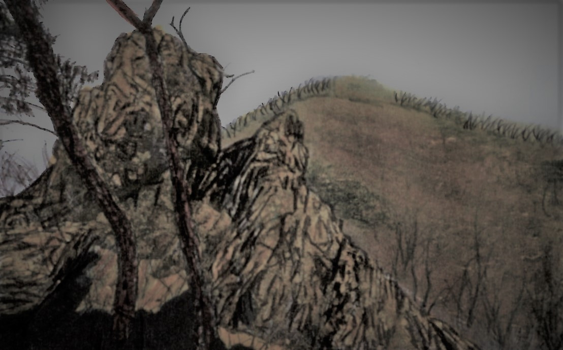 43. 청화산 정상이 지척이다.jpg