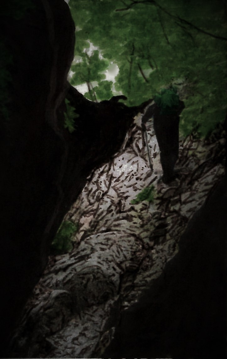 23. 수림 바위오르막을 오르자 정상이 시야에 들어온다.jpg