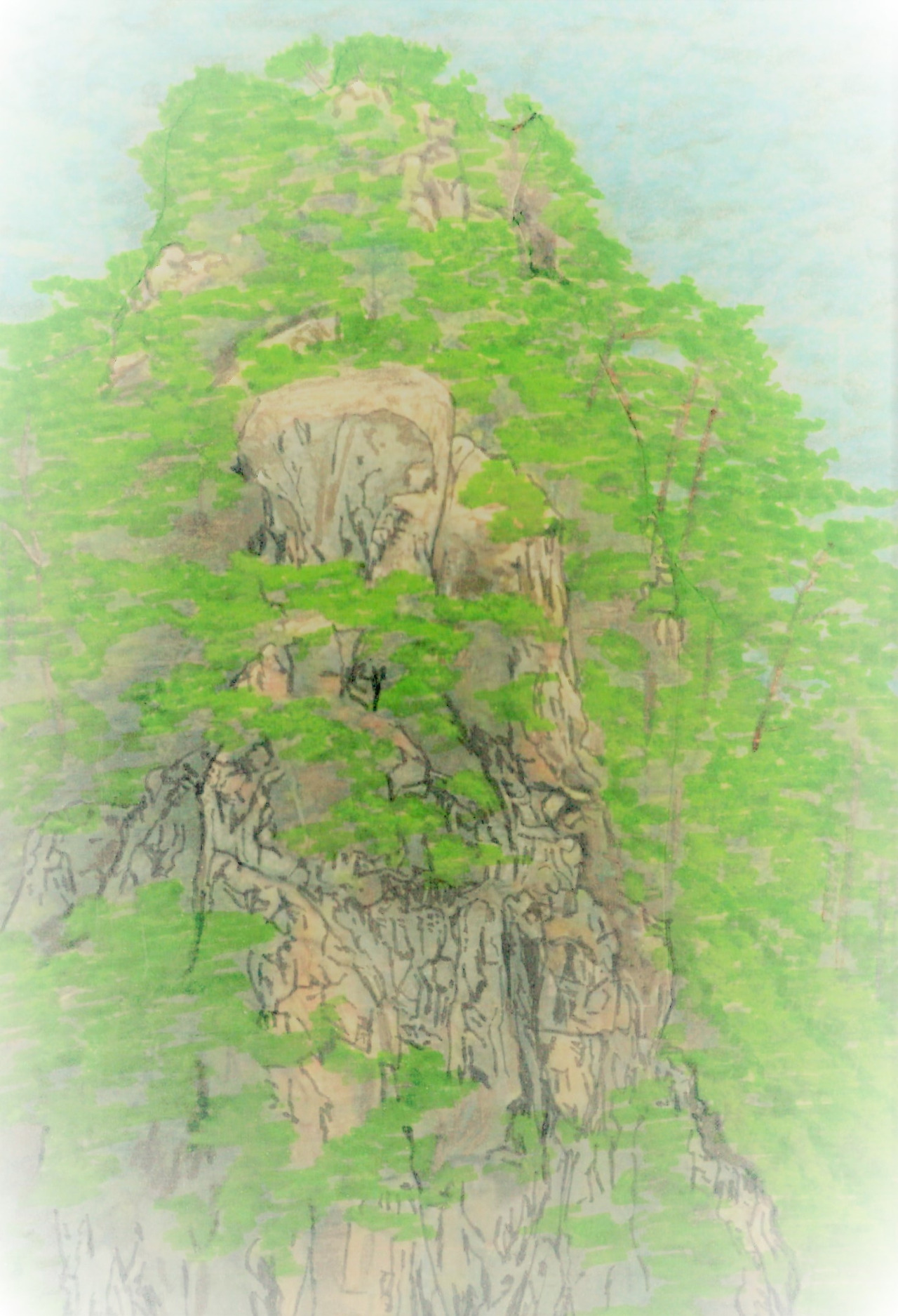 47. 향적봉 오르는 길의 암봉이 두툼한 나무숲을 이루고 있다.jpg