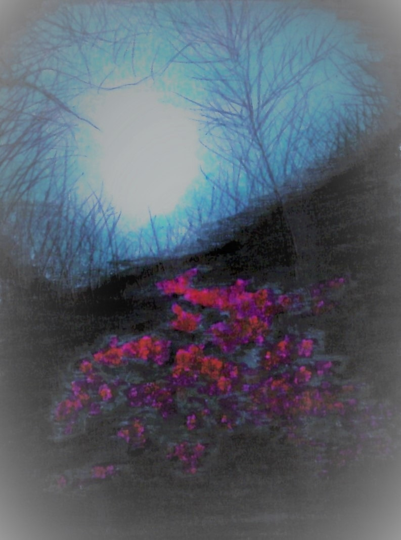 66. 봄꽃 오름길이 화사하고 부드럽다.jpg