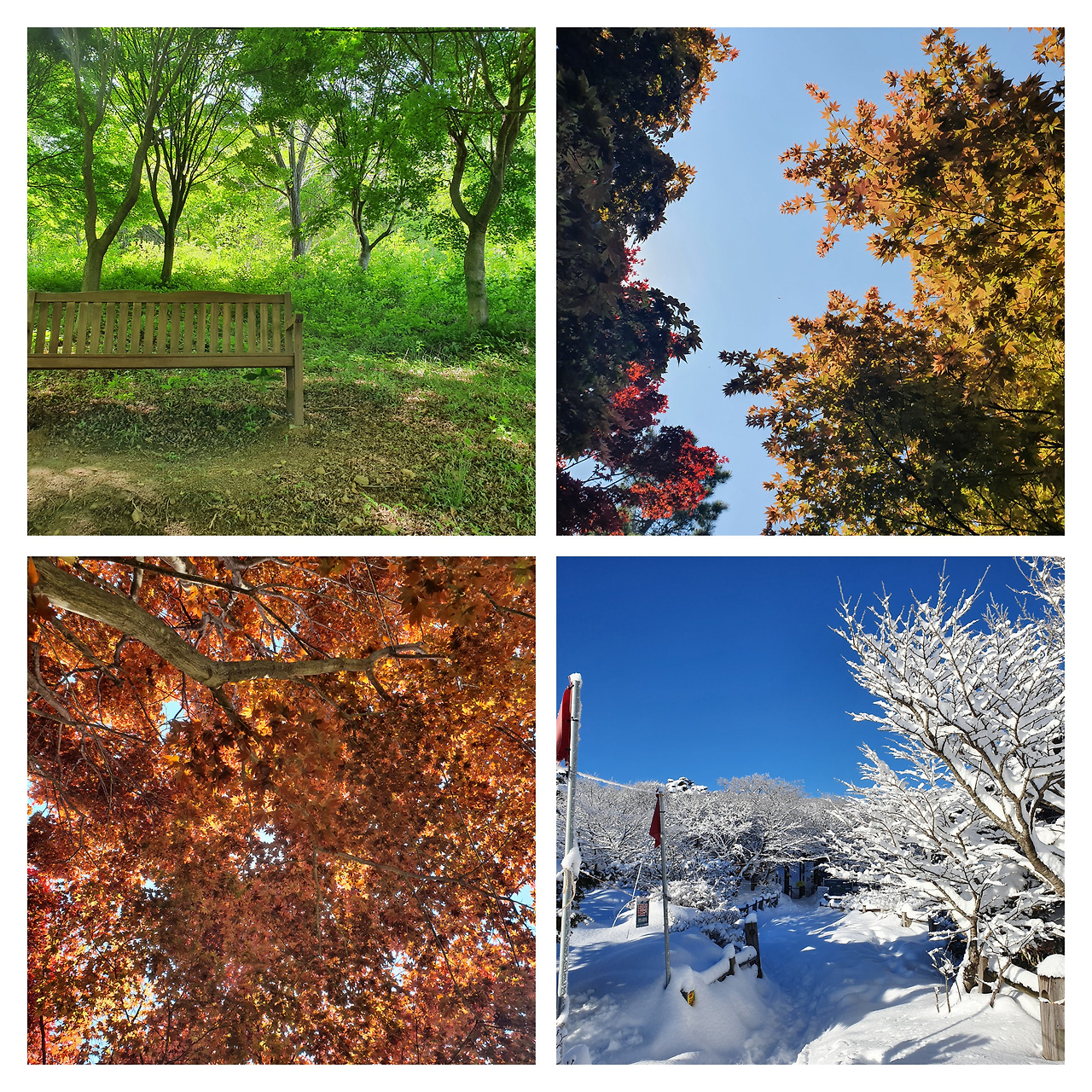 봄 여름 가을 겨울.jpg