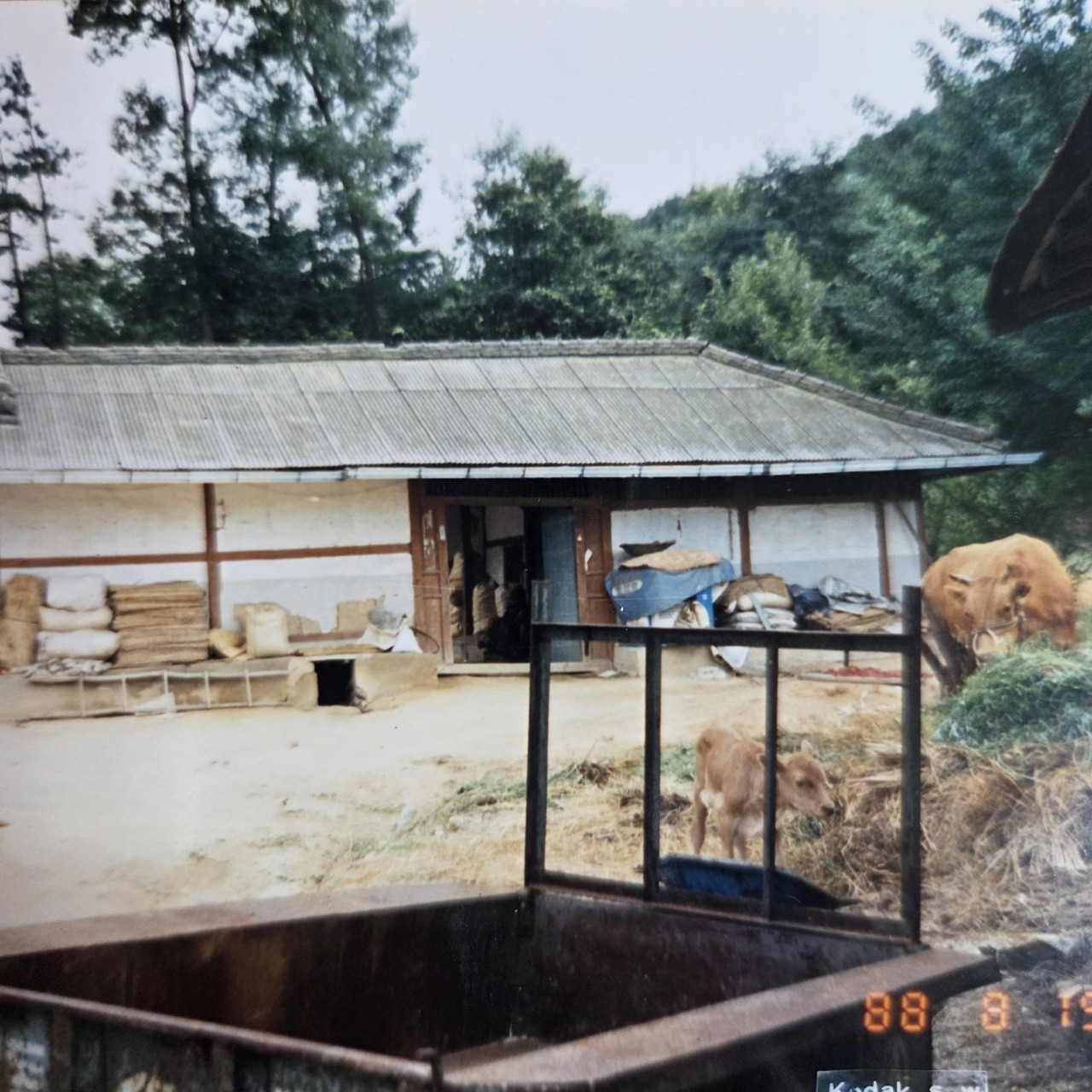 KakaoTalk_20250415_145037190_09 (1).jpg