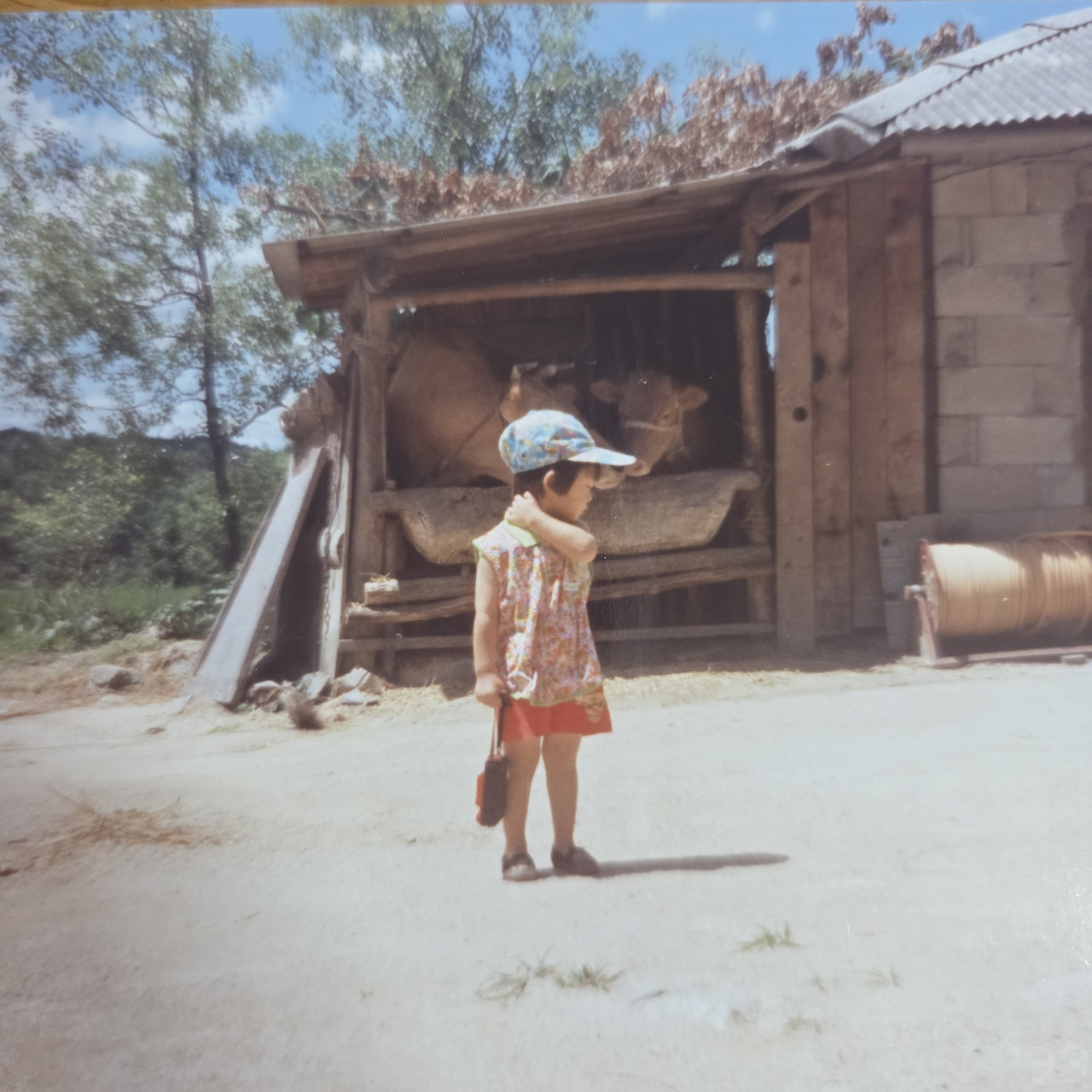 KakaoTalk_20250415_145037190_02 (1).jpg