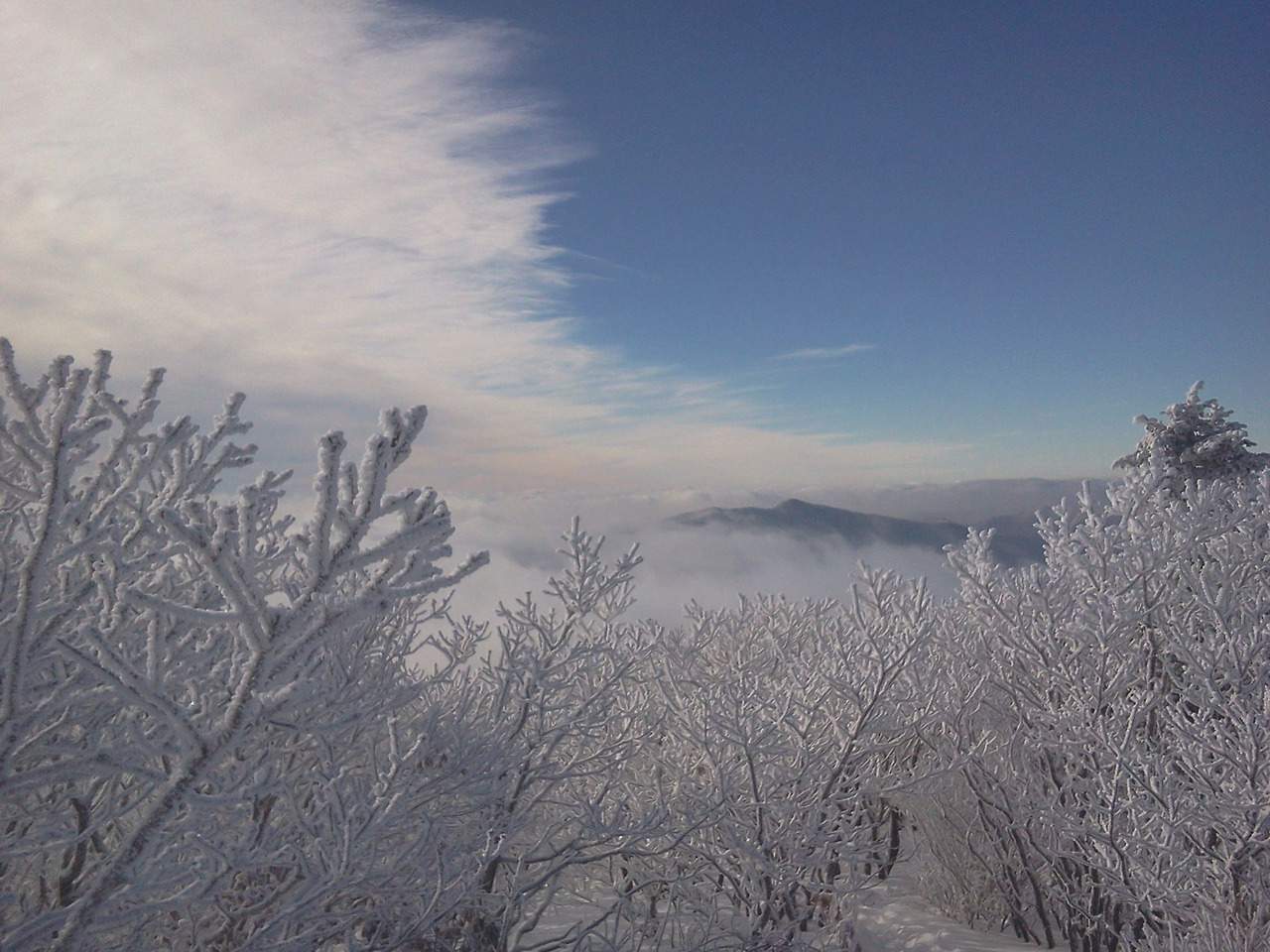 Neo 계방산 눈꽃산행 코스 (3).jpg