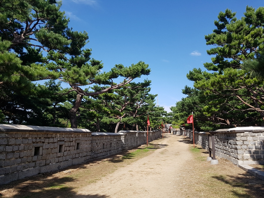 그림1_세계유산의 길-1.jpg