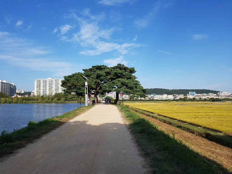 그림3_세계유산의 길-3.jpg