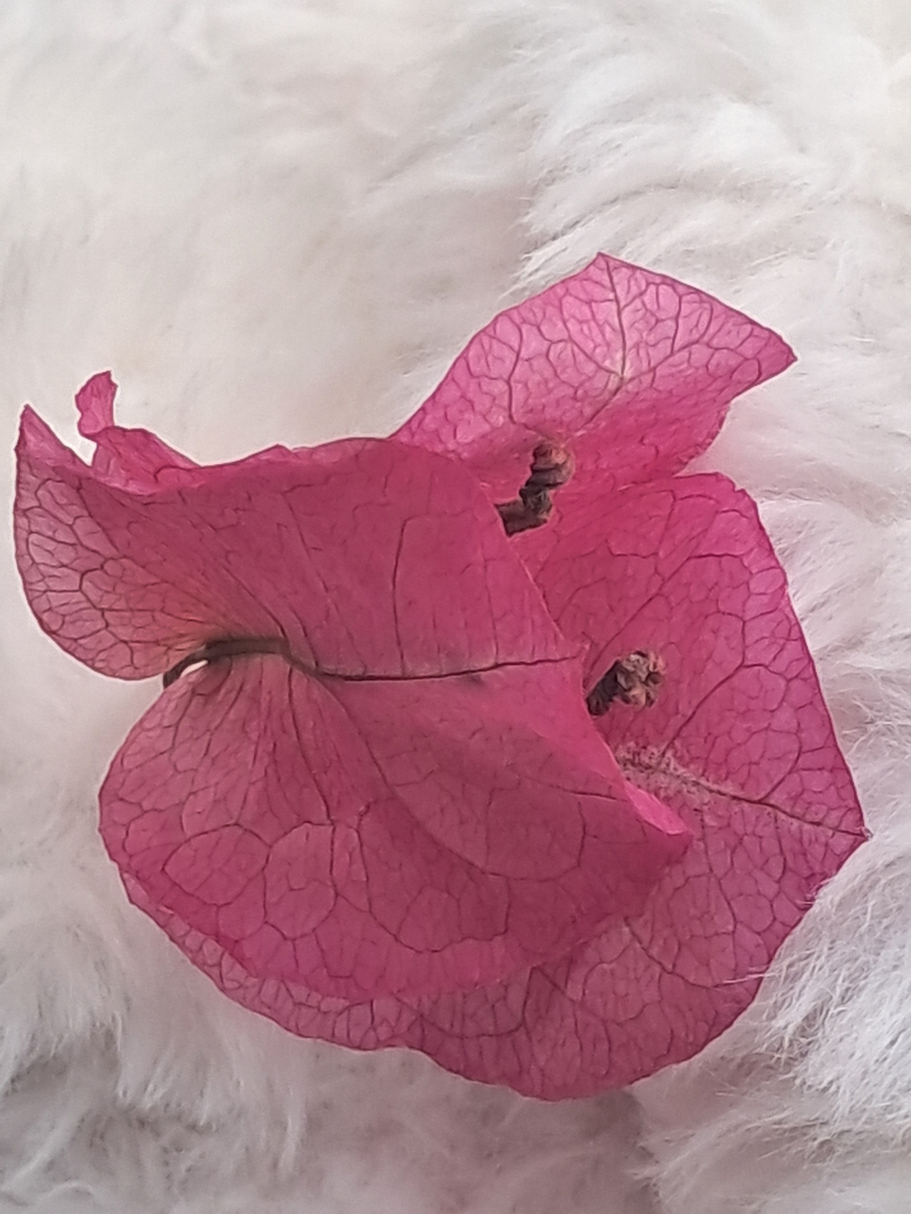 멈춰야 비로소 시 7