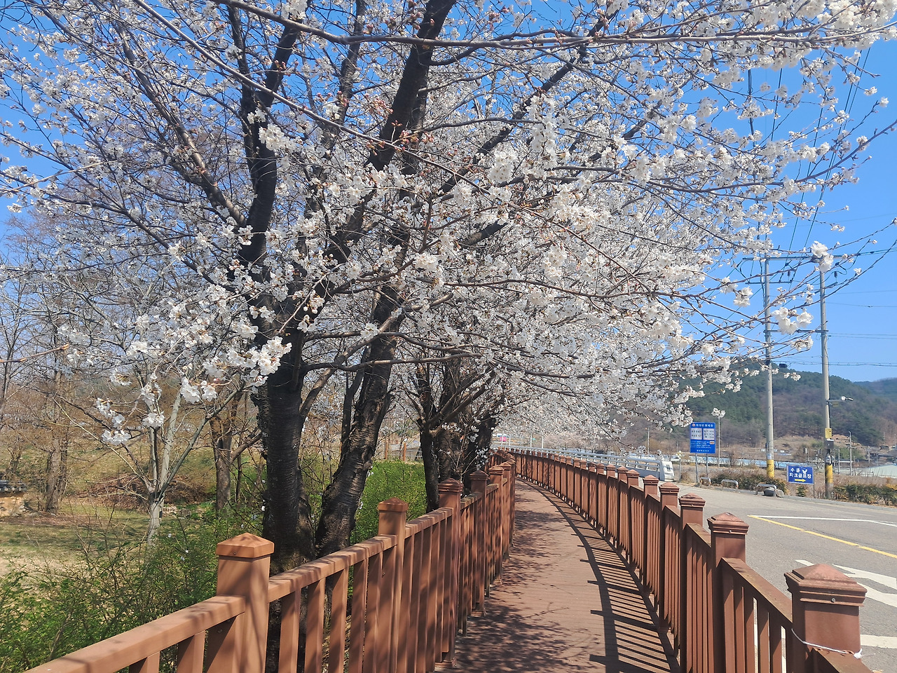 멈춰야 비로소 시 11