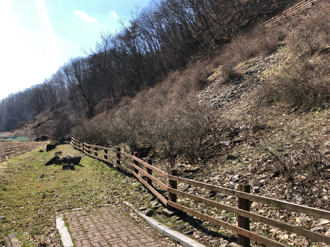 두창리 산책-2019.03.24 괴산미선나무-12487554686 (1).jpg