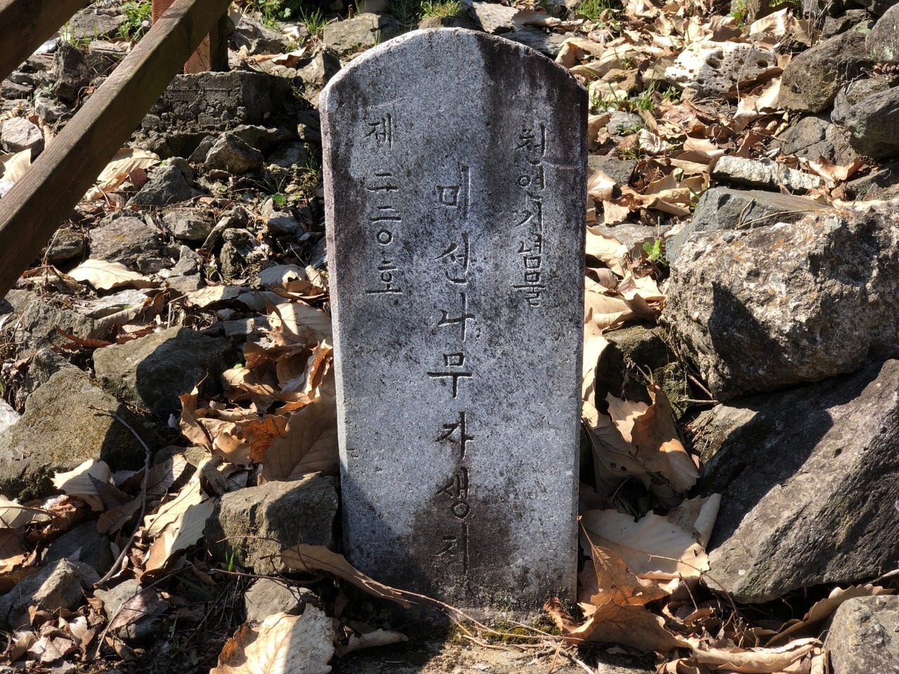 두창리 산책-2019.03.24 괴산미선나무-12487554687.jpg