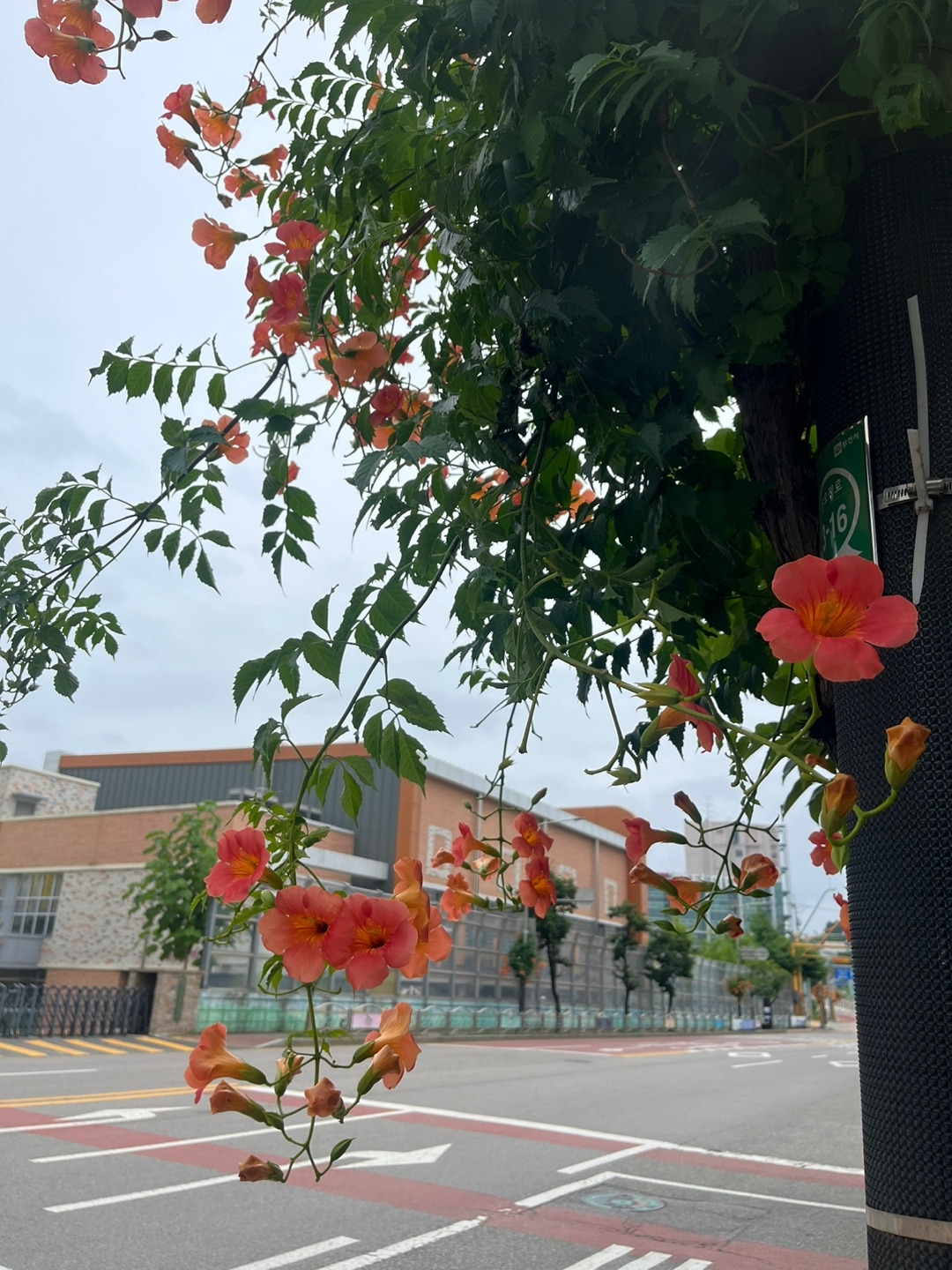KakaoTalk_20240707_213846773_01.jpg