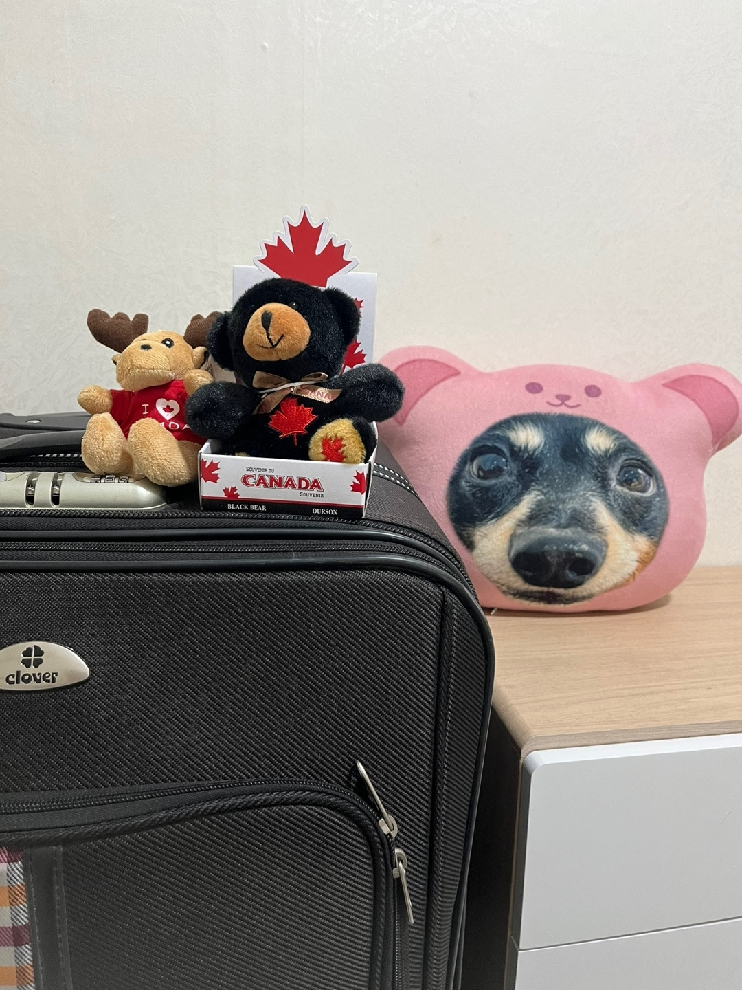 KakaoTalk_20240701_231109221.jpg