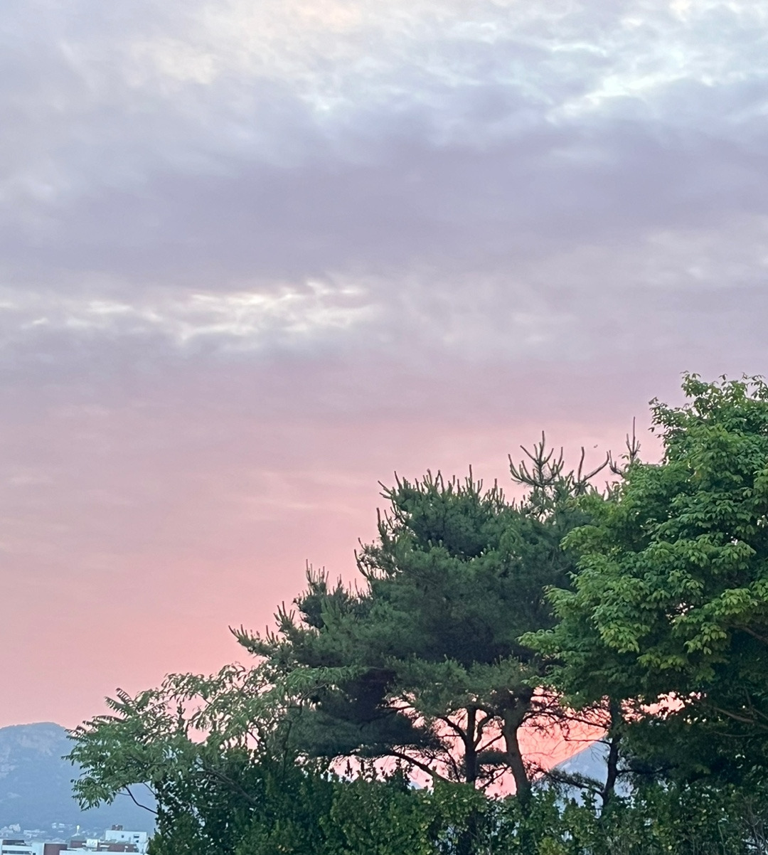 KakaoTalk_20240601_175616535_02.jpg