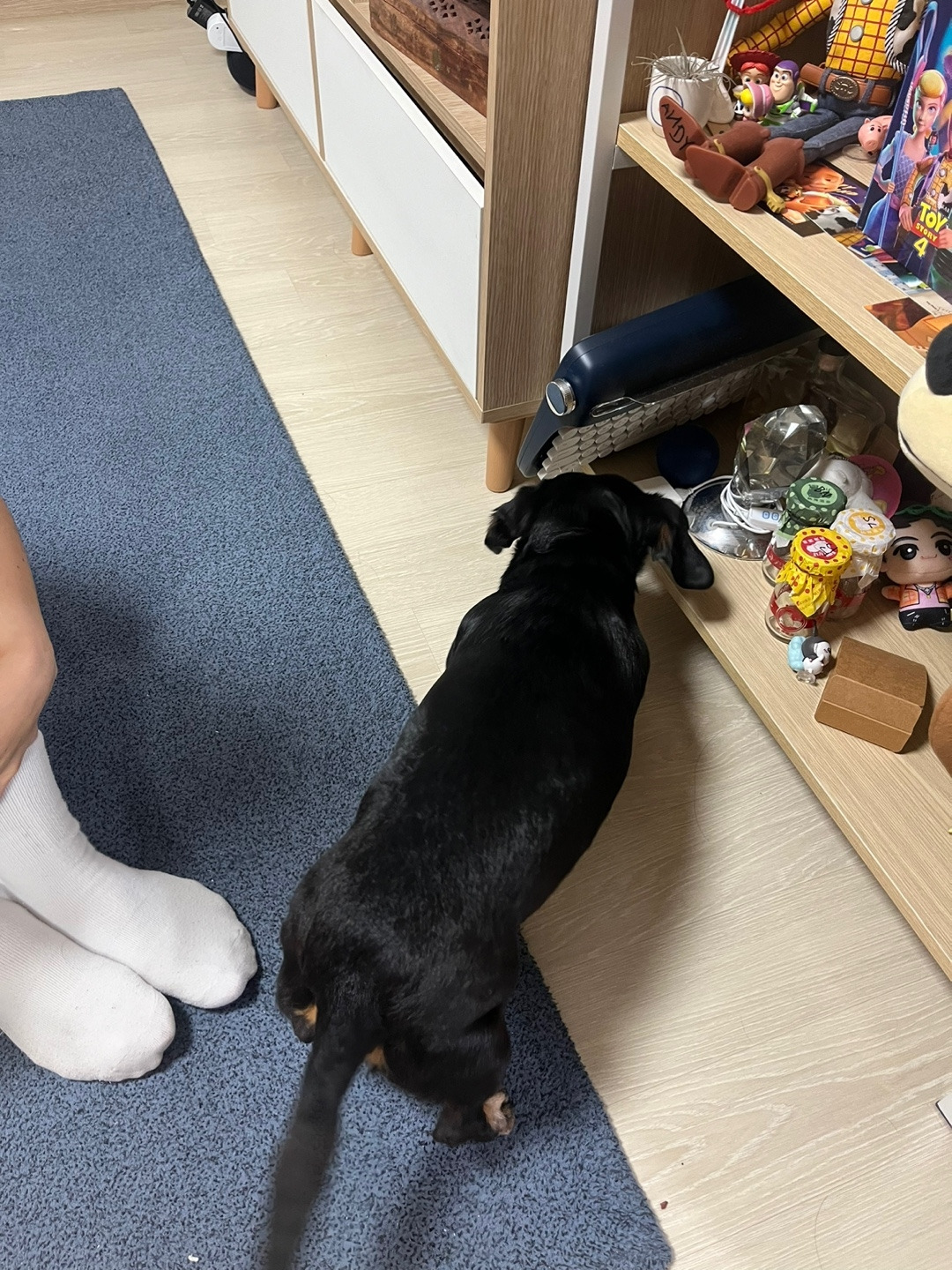 KakaoTalk_20240714_213112069_03.jpg