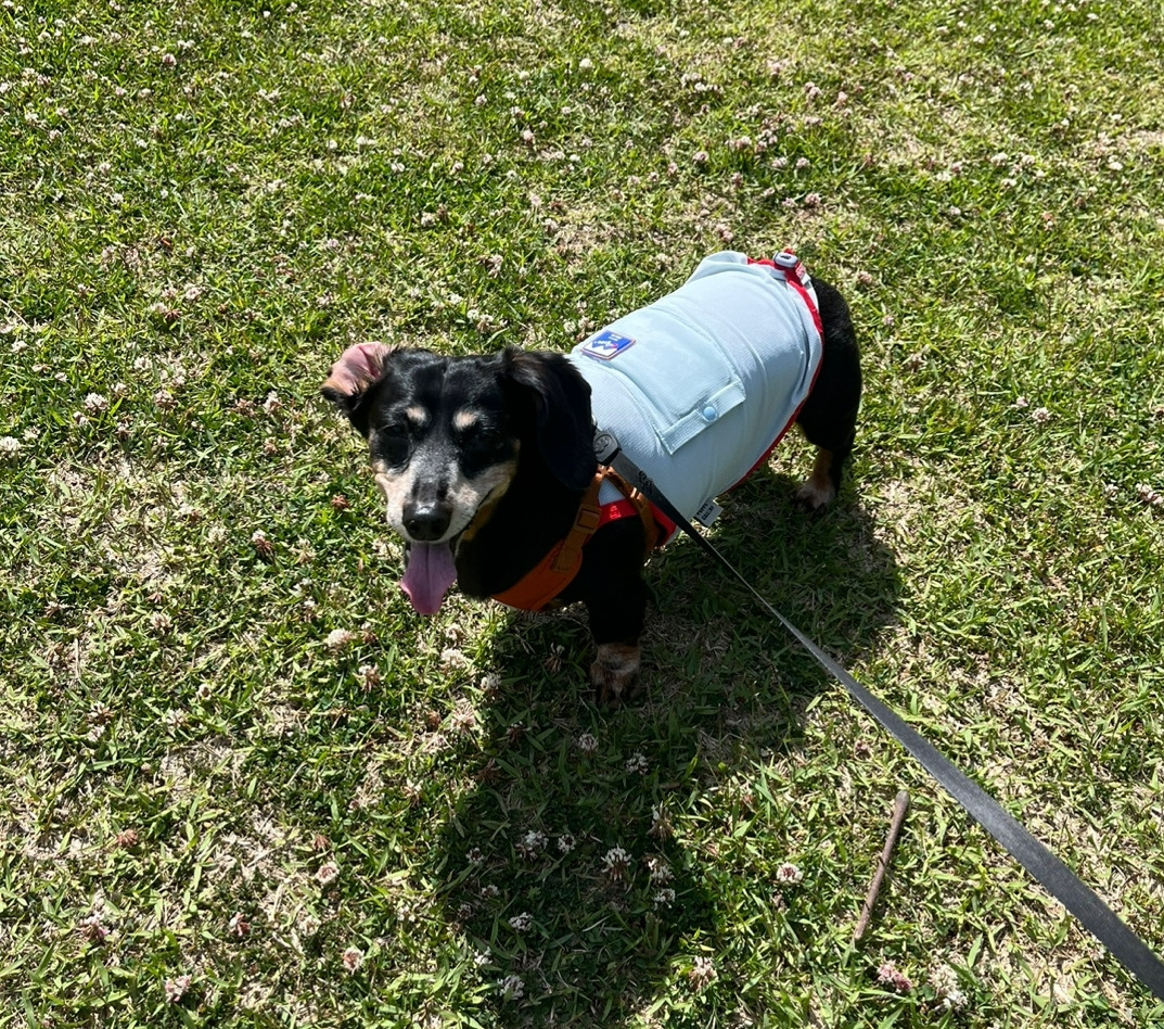 KakaoTalk_20240512_233723766_01.jpg
